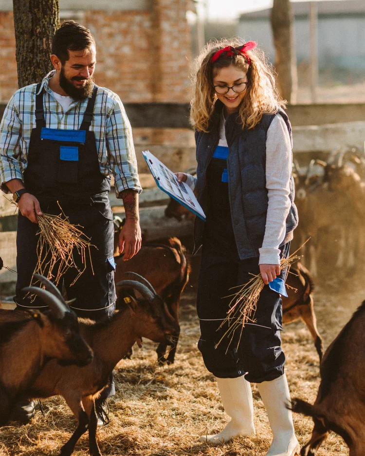 Maria E goat's breeds. aricle ready to read on goats info