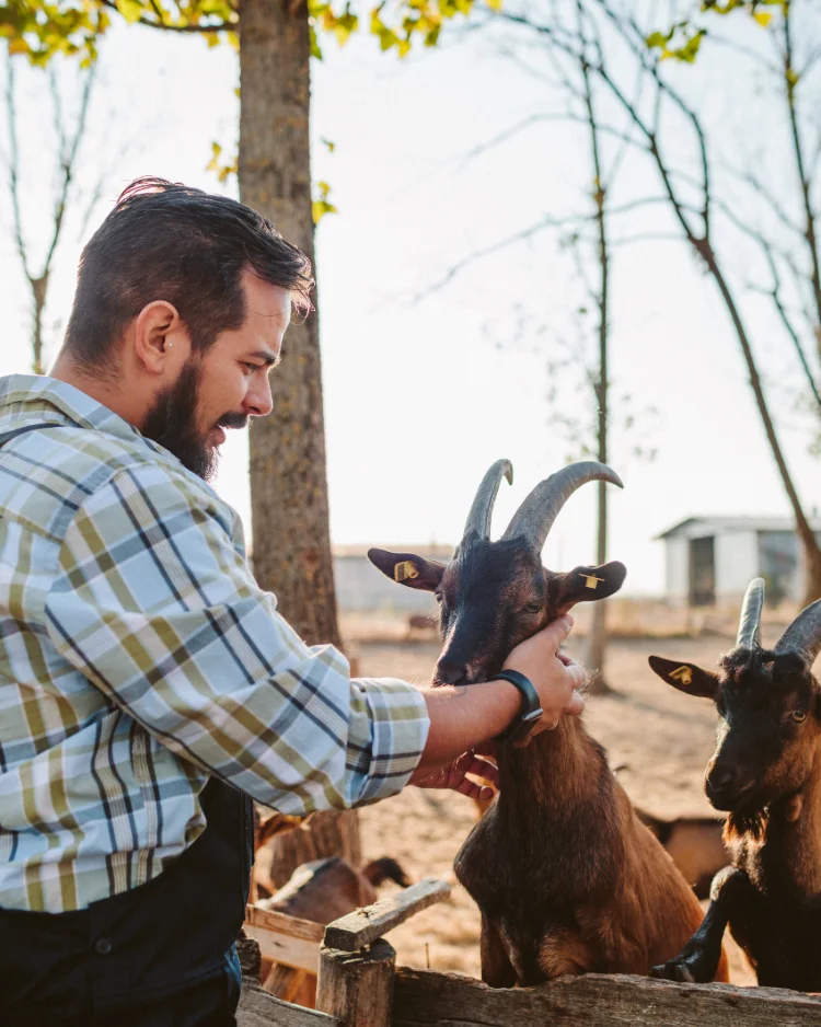 adam love his goat. read articles on goats info