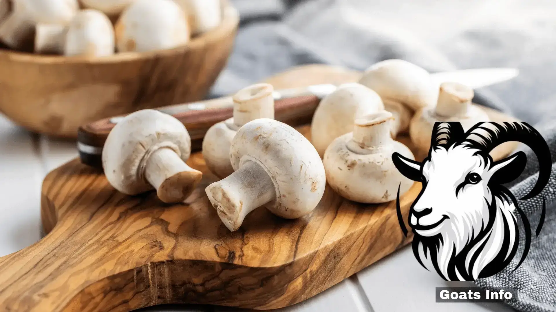 Can Goats Eat Mushrooms? Is it Safe?