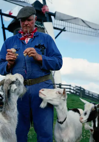 Farmer at Goats Info